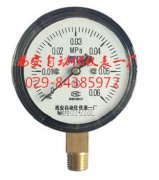 YE-60膜盒壓力表(biao)