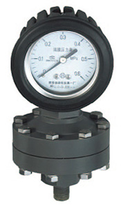 YTP-100S全塑隔膜压力表,耐强腐压力表
