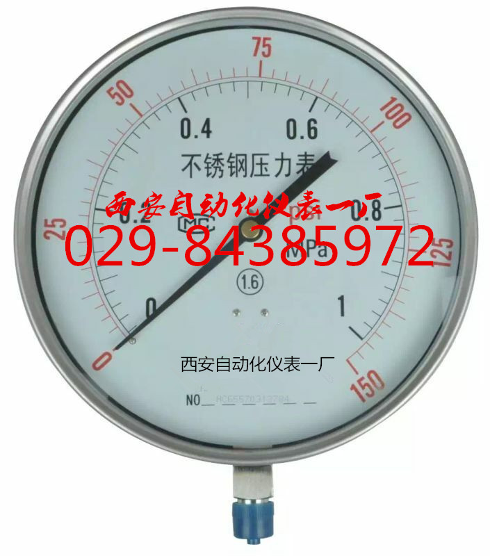  Y-250BF不锈钢压力表YTN-250BF不锈钢耐震压力表 